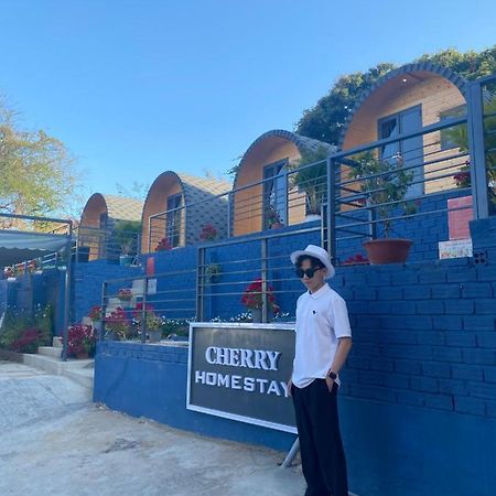 Cherry Homestay Bungalow Vung Tau Exteriör bild